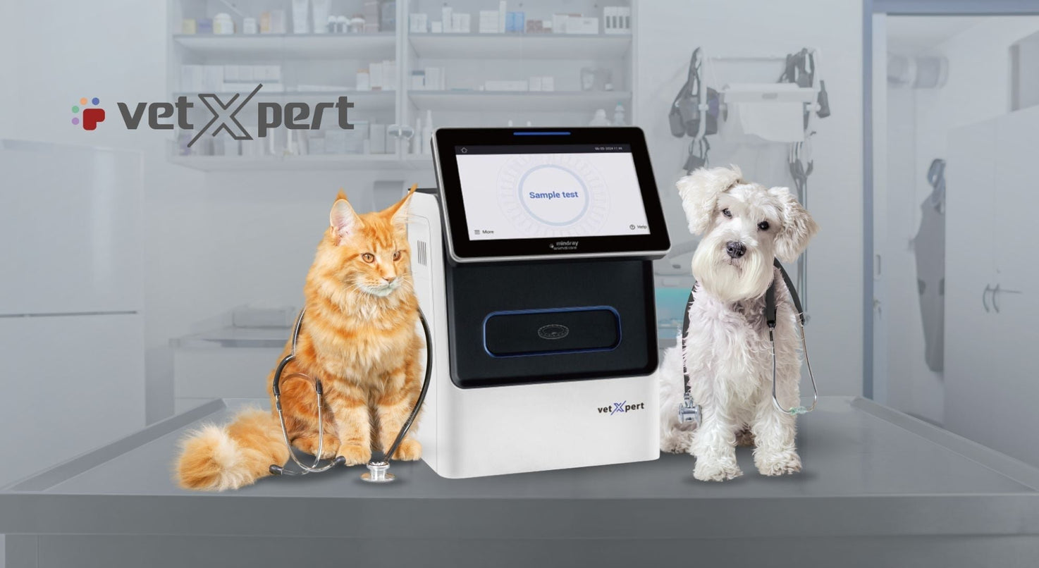 VetXpert C5 de Mindray Animal Care: precisión y velocidad en el análisis bioquímico veterinario