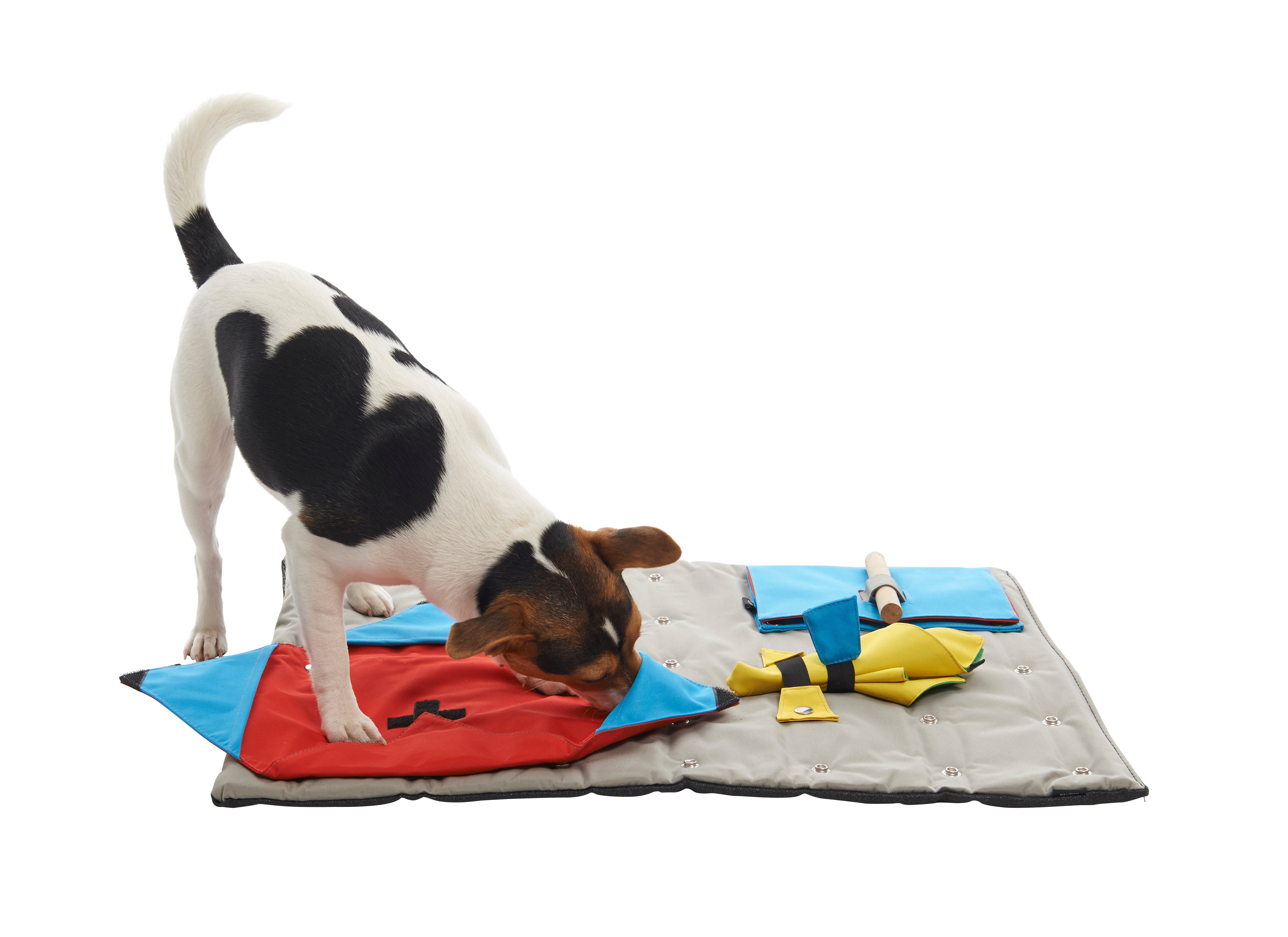 BUSTER ActivityMat, set inicial con 3 actividades