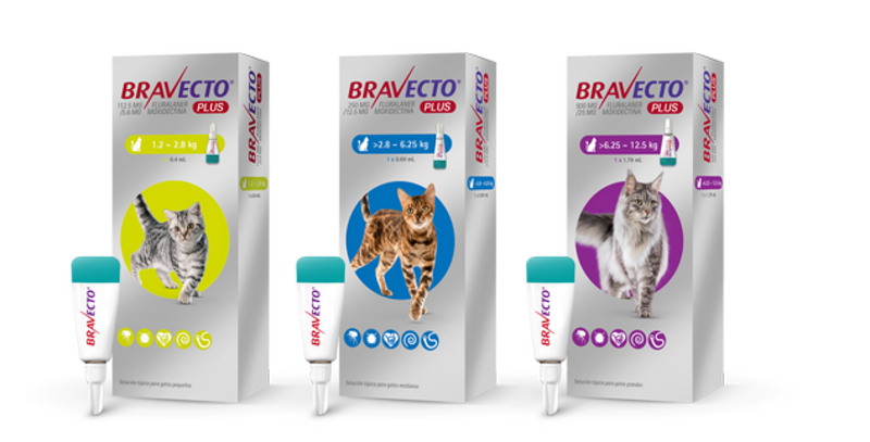 Bravecto Plus Cat