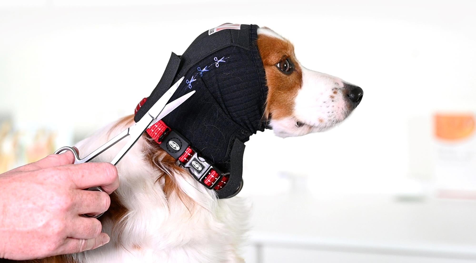 BUSTER Ear Cover