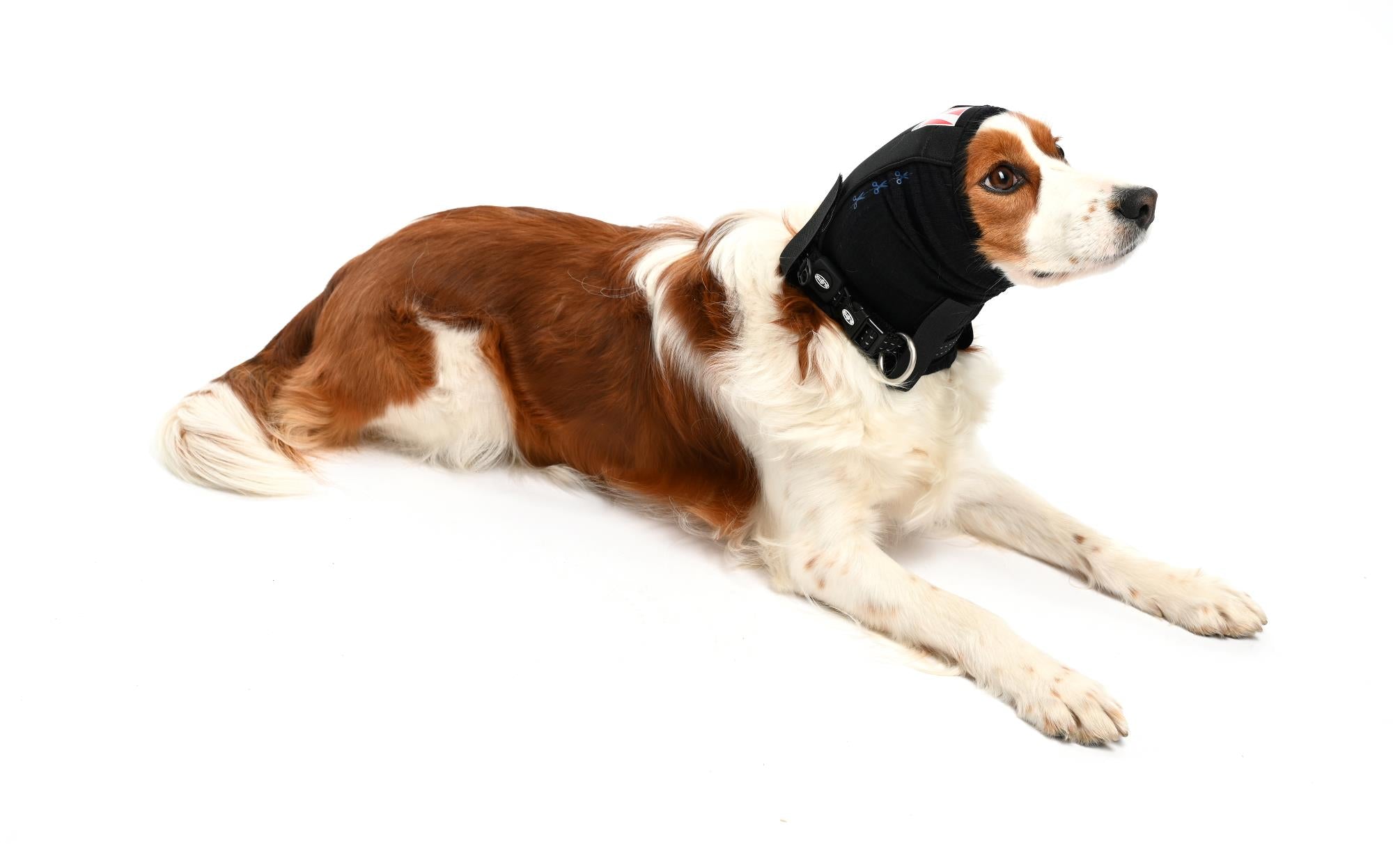 BUSTER Ear Cover