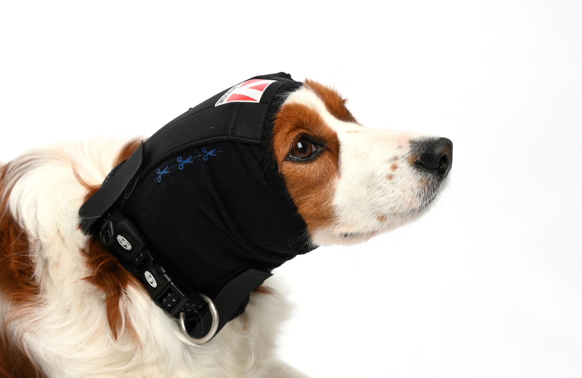 BUSTER Ear Cover