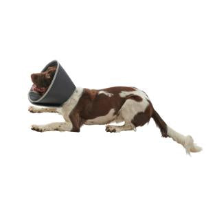 BUSTER Foam Collar