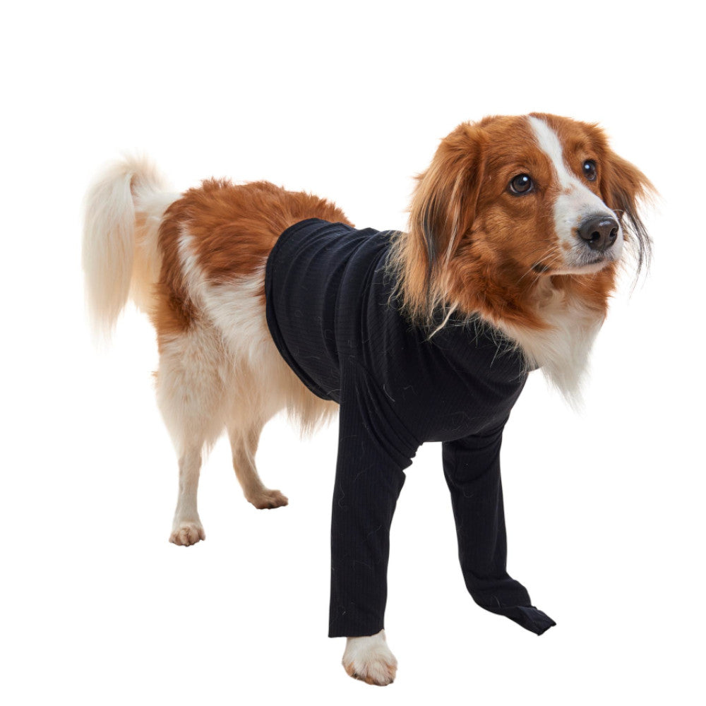 BUSTER Body Sleeves Pata Delantera