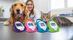 SunTech en la práctica clínica: precisión y confiabilidad en la medición de presión arterial veterinaria