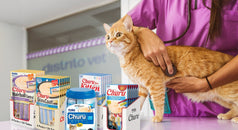 Churu funcional: una herramienta valiosa en la consulta para gatos