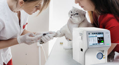 Hemogramas: Herramienta esencial para el diagnóstico veterinario
