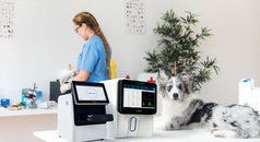 Diferencia entre química sanguínea y hemograma en el paciente veterinario