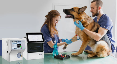 Diagnóstico in vitro (IVD): una tendencia clave en el diagnóstico veterinario moderno