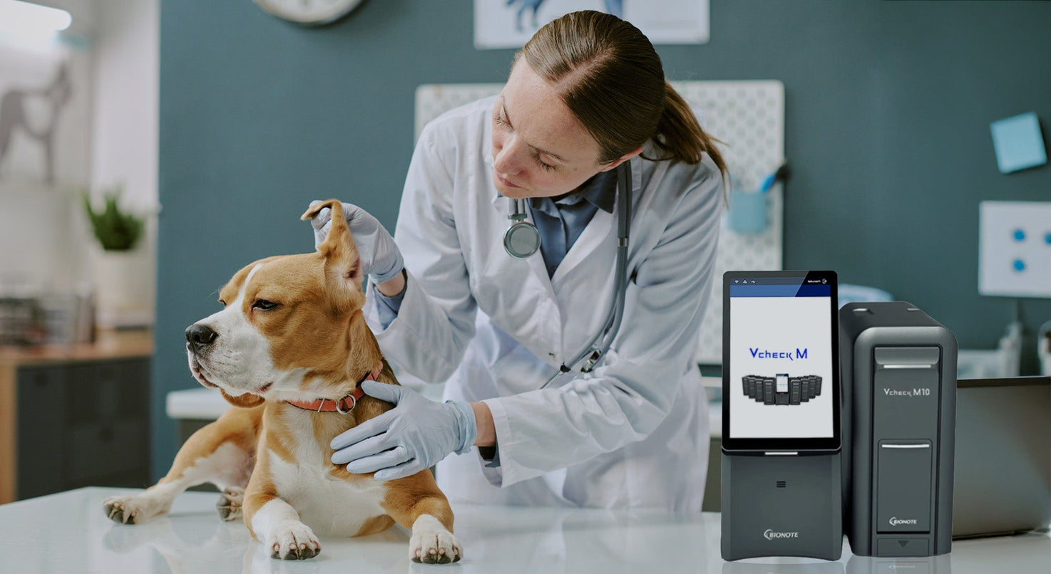 Diagnóstico veterinario molecular en clínica: pruebas Vcheck M10 como herramienta POC