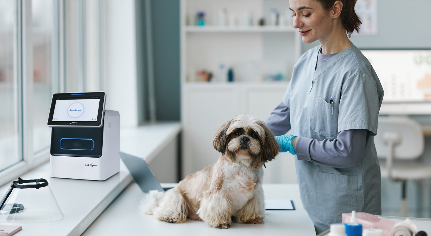 Analizador de química sanguínea para clínica veterinaria: qué evaluar antes de comprar