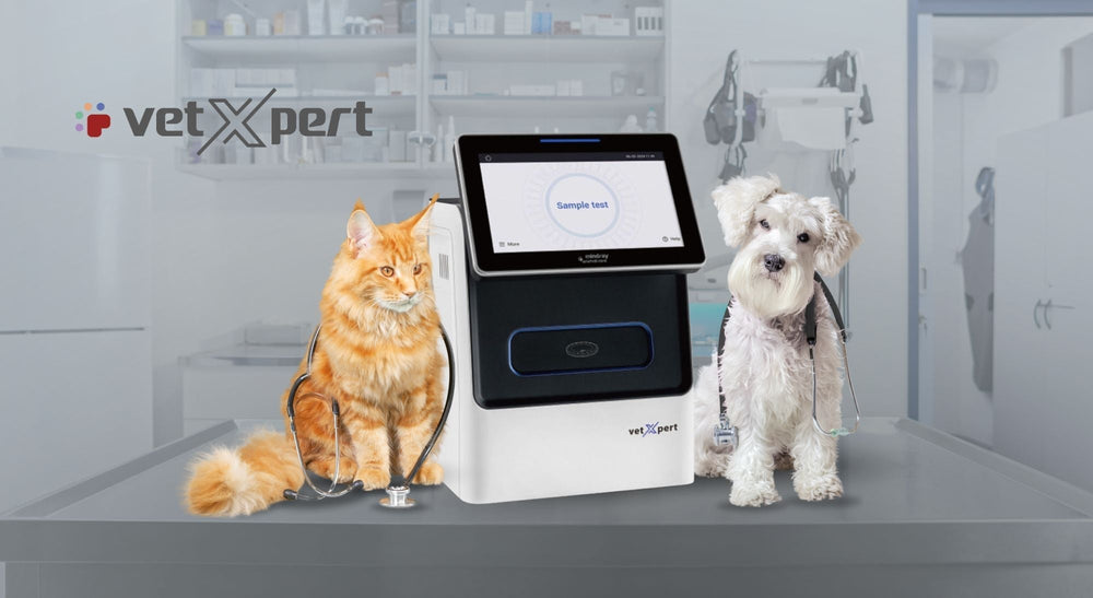 VetXpert C5 de Mindray Animal Care: precisión y velocidad en el análisis bioquímico veterinario
