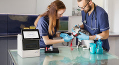 Química sanguínea en veterinaria: parámetros clave para el diagnóstico clínico