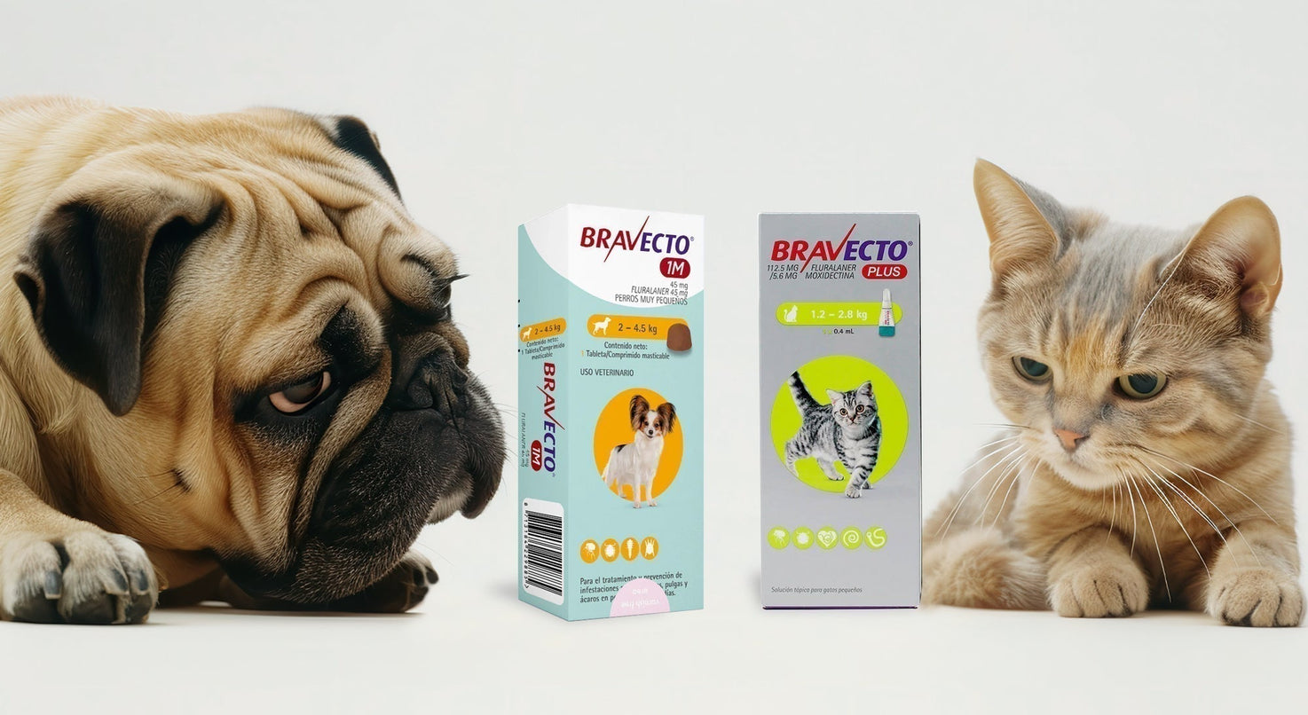 Desparasitantes internos y externos: guía clínica para médicos veterinarios