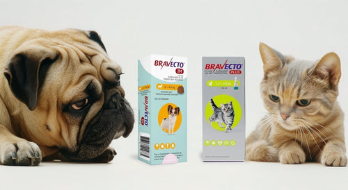 Desparasitantes internos y externos: guía clínica para médicos veterinarios