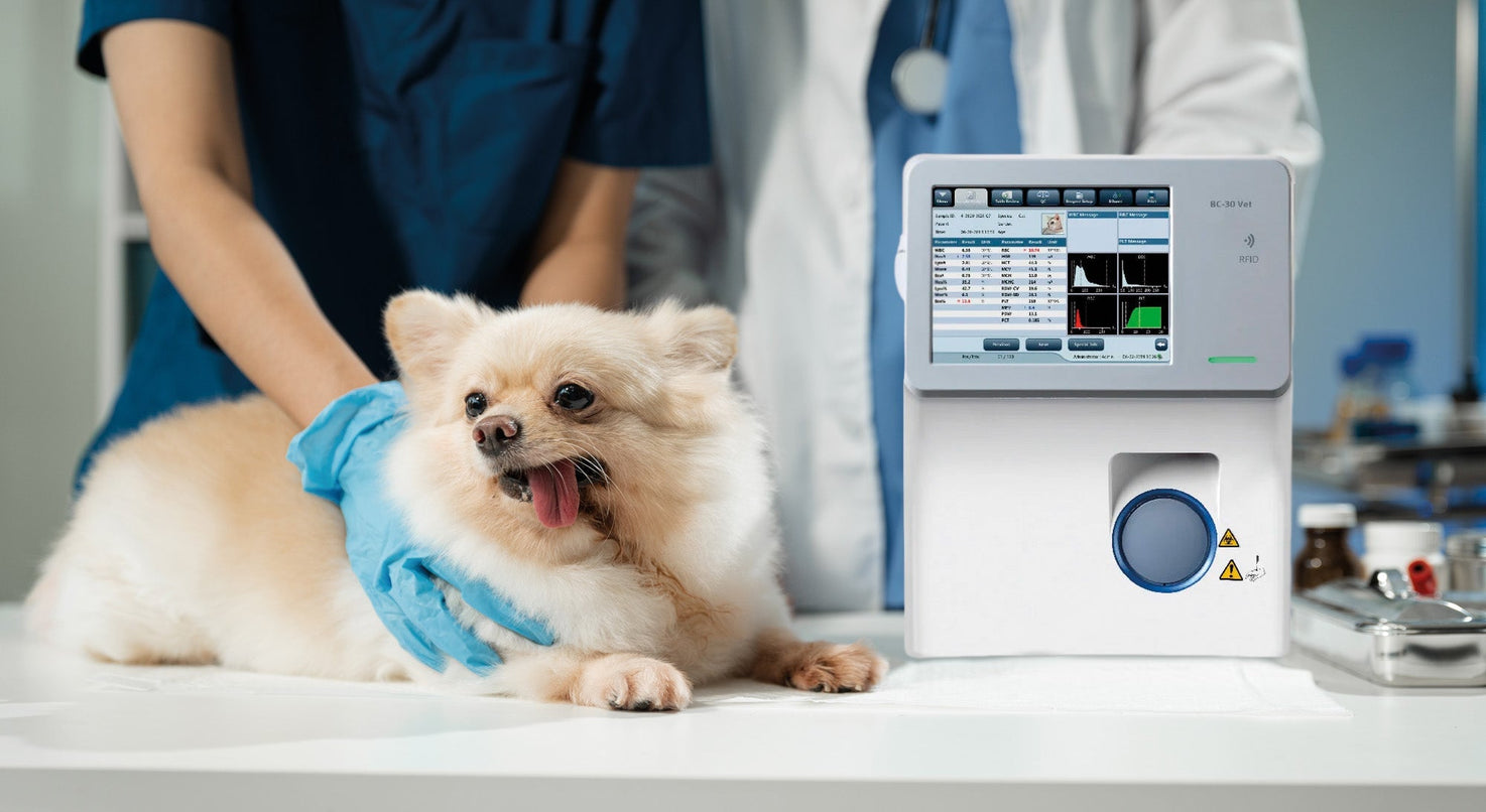 ¿Hemograma normal? Errores frecuentes al interpretar un CBC veterinario