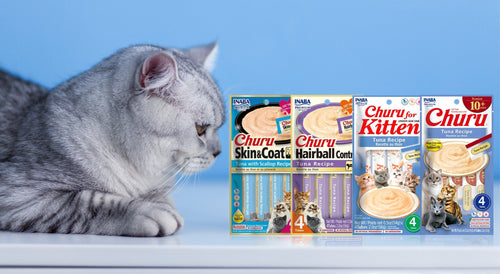 Churu funcionales de Inaba: ¿ya los conoces?