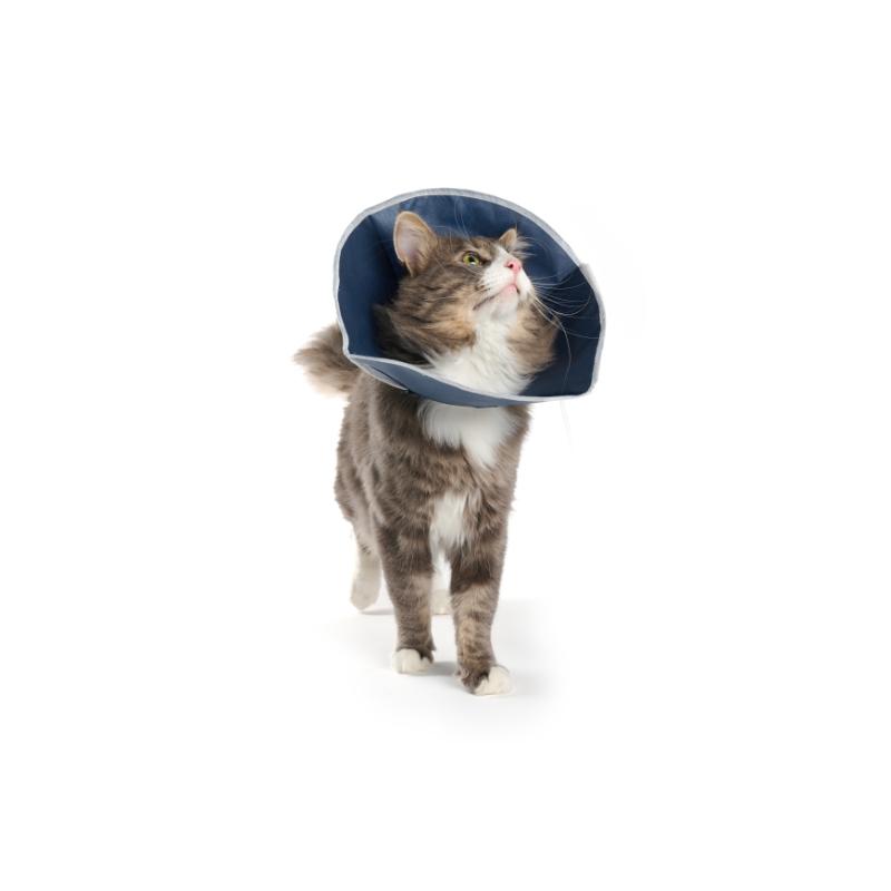 Buster Collar Desechable Para Gatos y Perros