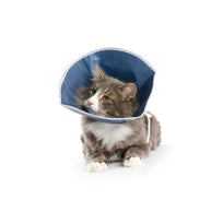 Buster Collar Desechable Para Gatos y Perros