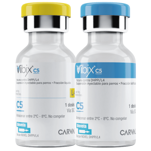 Vibix C5