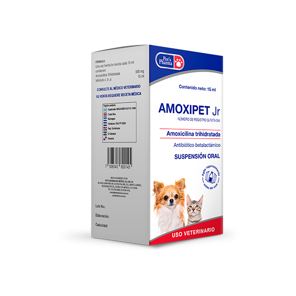 Amoxipet Jr.
