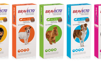 Bravecto Masticable