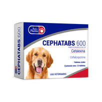Cephatabs 600