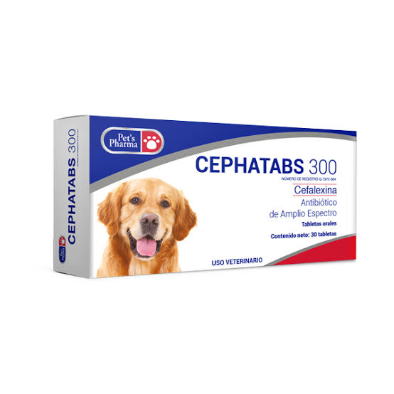 Cephatabs 300 30 Tabs