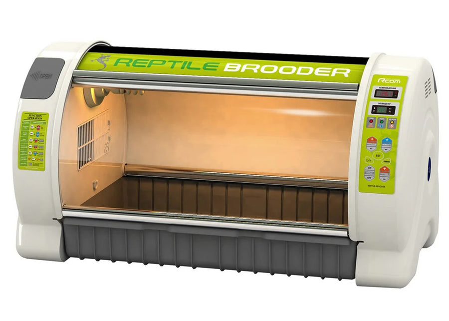 Incubadora grande para reptiles MX-BL700R