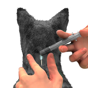 NexGard® COMBO Gato
