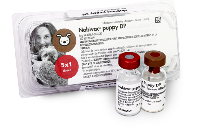 Nobivac Puppy DP + Solvente