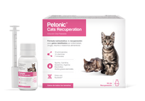 Petonic Cats Recuperation
