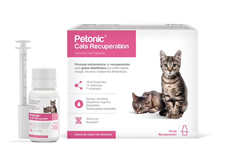 Petonic Cats Recuperation