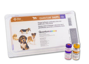 Vacuna Quantum Dog DA2PPv+Cv