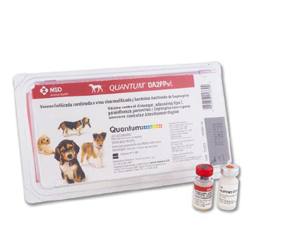 Vacuna Quantum Dog DA2PPvL