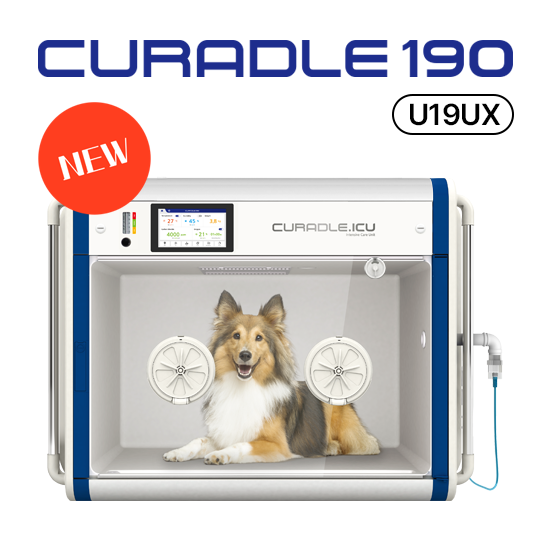 Incubadora inteligente para mascotas Curadle 190