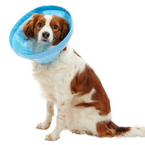 BUSTER Soft Flex Collar