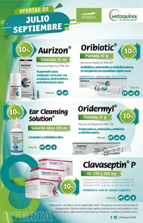 Clavaseptin P Tab 50 mg