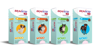 Bravecto 1M
