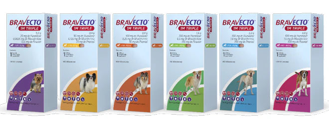 Bravecto_1M_Triple