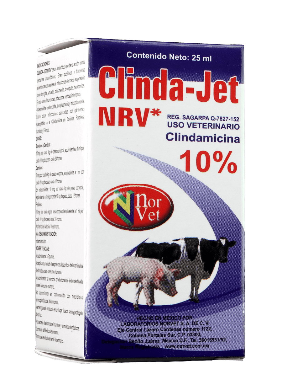 Clinda- Jet 100 mg/ml 25