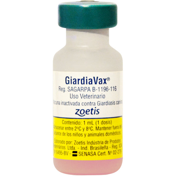 GiardiaVax Vacuna inactiva contra Giardiasis canina, suspensión