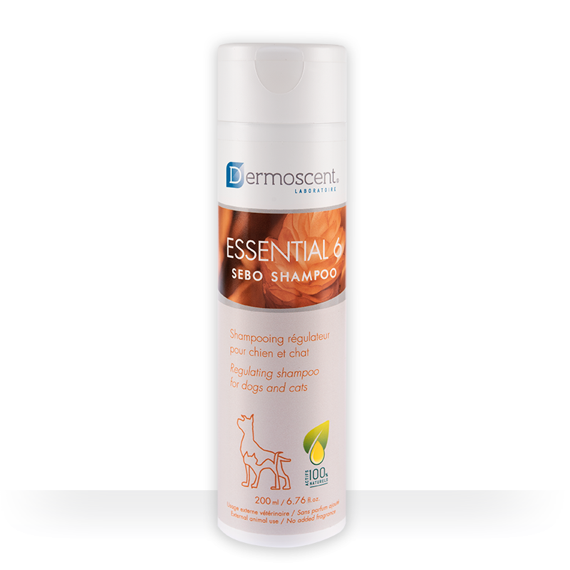 Essential 6 Sebo Shampoo 200 mL