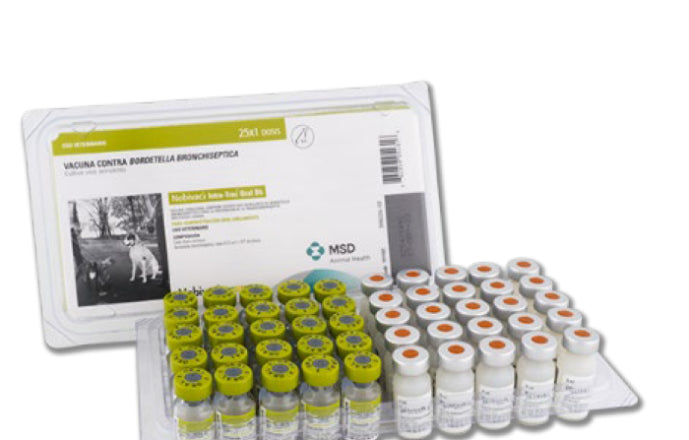 Vacuna Nobivac Intra-Trac Oral Bb
