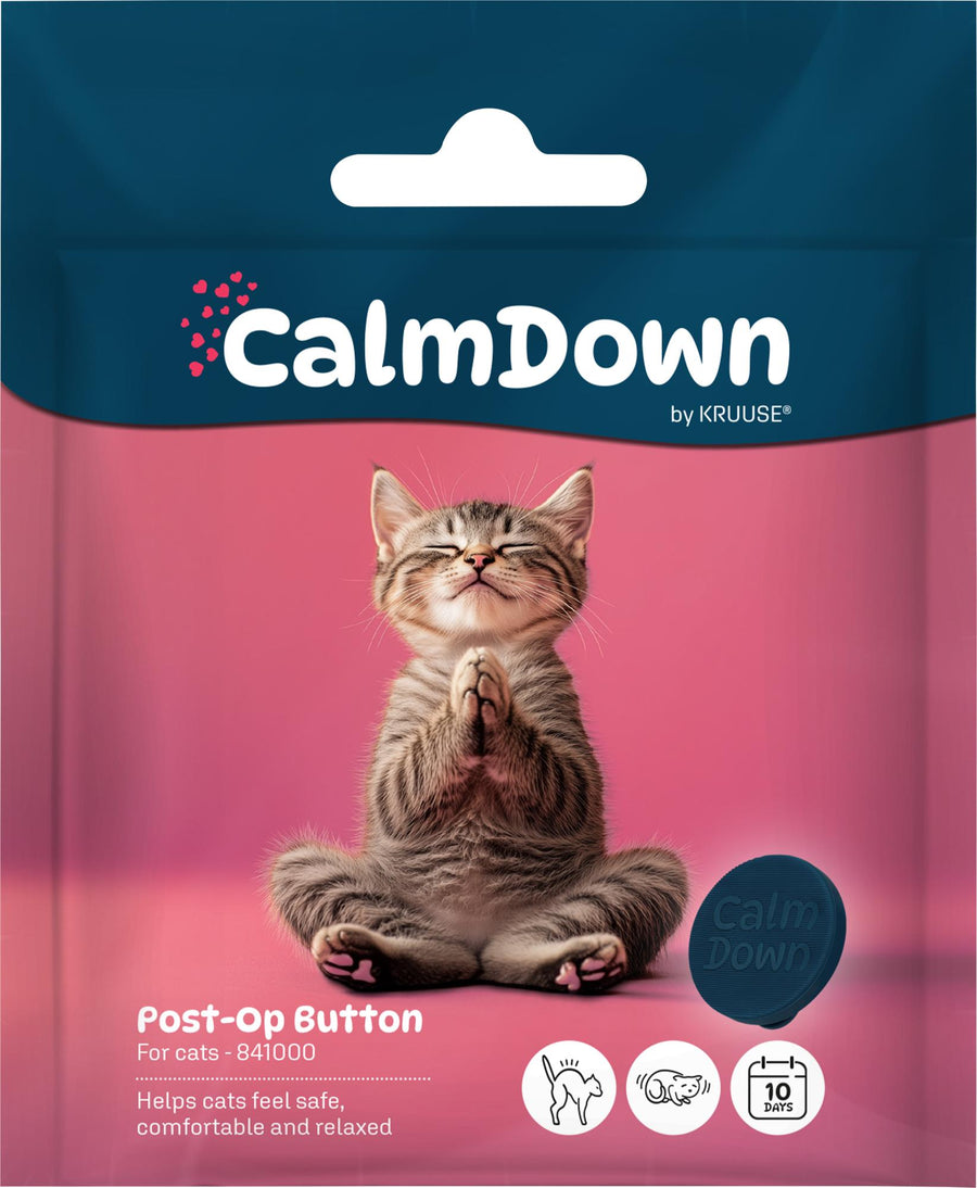 Calm Down Gato