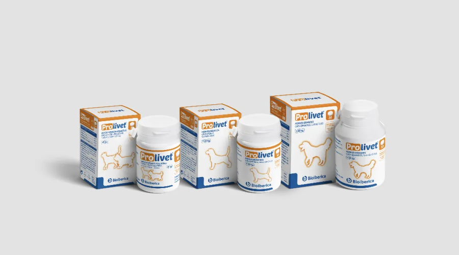 Prolivet  Cats & Dogs Small