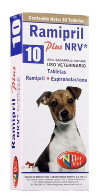 Ramipril Plus 10 30 Tabs