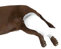 Buster Venda Tubular Extensible Blanca