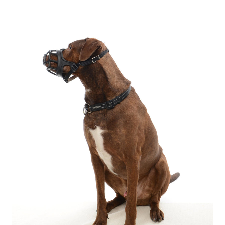 KRUUSE Extreme Bozal Para Perro