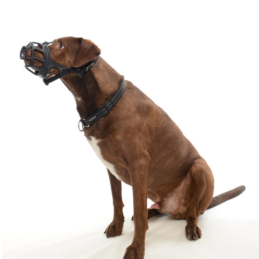 KRUUSE Extreme Bozal Para Perro